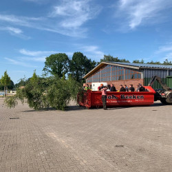 Pfingstbaum holen 2022